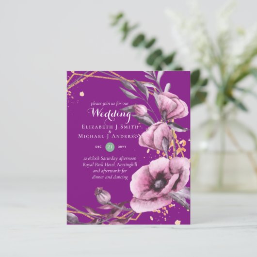 BUDGET Paarse goudfinnen (Staand voorkant)