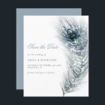 Budget Peacock Fether Wedding Save the Date<br><div class="desc">Een alternatief voor een budget van 4, 5 x 5, 6-inch halfglanzend gewicht van 110 lbs, dat even dik is als een briefkaart (maar niet geschikt om als briefkaart te worden gebruikt). GEEF NOTA dat er ÉÉN per blad is. Peacock Fether Wedding Save the Date. Een mooie pauw-veer in schaduwen...</div>