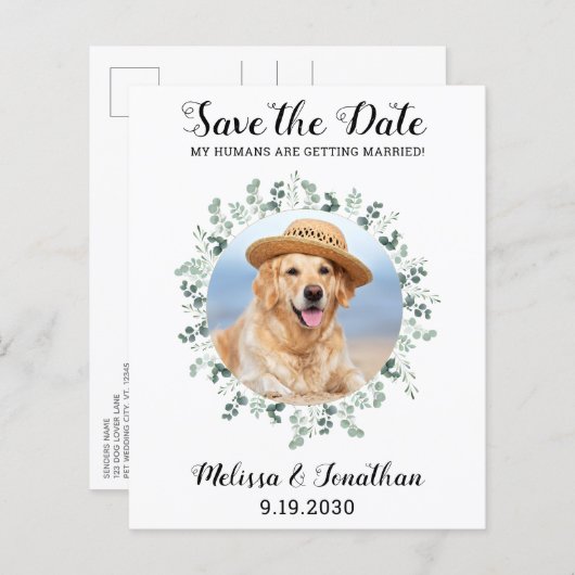 Budget Pet Dog Wedding Eucalyptus Save the Date (Voorkant / Achterkant)