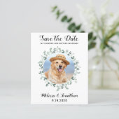 Budget Pet Dog Wedding Eucalyptus Save the Date (Staand voorkant)