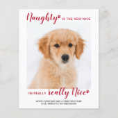 Budget Pet Foto Naught Nice Funny Holiday Kaart (Voorkant)