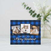 Budget Pet Photo Collage Dog Holiday Blue Pset (Staand voorkant)