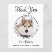 Budget Pet Photo Dog Weddenschap Bedankt kaarten (Voorkant)