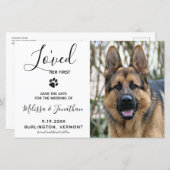 Budget Pet Photo Dog Wedding Save the Date (Voorkant / Achterkant)