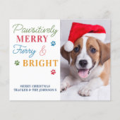 Budget Pet Photo Furry & Bright Dog Holiday Kaart (Voorkant)