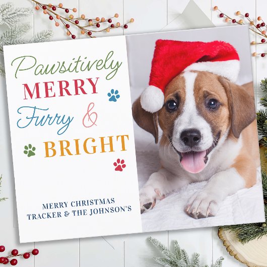 Budget Pet Photo Furry & Bright Dog Holiday Kaart