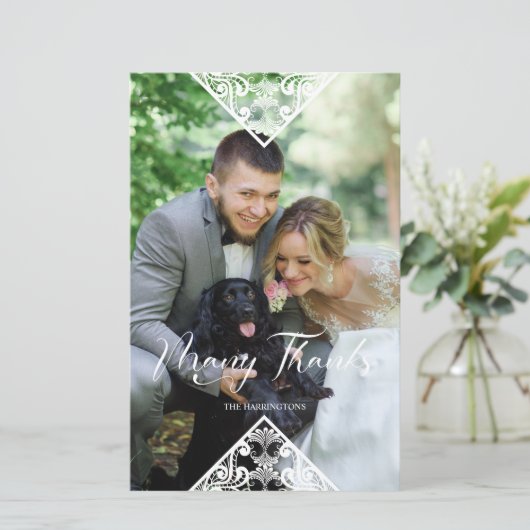 Budget Pet Photo Lace Effect Whimsical Typografie (Staand voorkant)