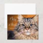 Budget Photo Cat Merry en Bright Holiday Kaart (Voorkant / Achterkant)