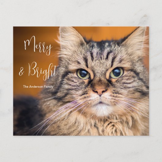 Budget Photo Cat Merry en Bright Holiday Kaart (Voorkant)