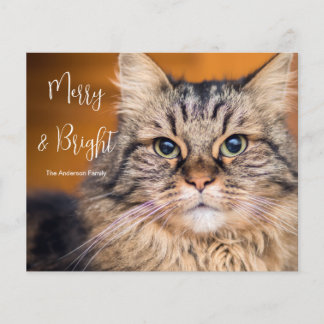 Budget Photo Cat Merry en Bright Holiday Kaart