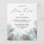 Budget Pine Cone & Snow Holiday Party (Voorkant)