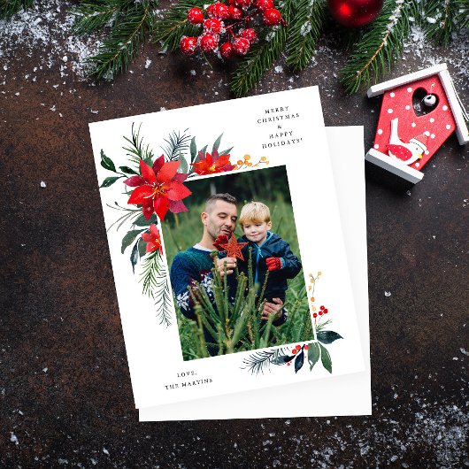 Budget Poinsettia Lijst V Foto Holiday