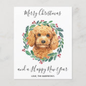 Budget Poodle Dog Elegant-kerstBriefkaart (Voorkant)