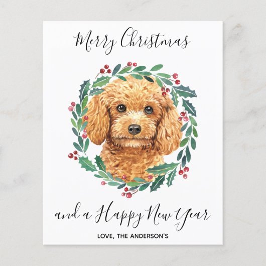 Budget Poodle Dog Elegant-kerstBriefkaart (Voorkant)