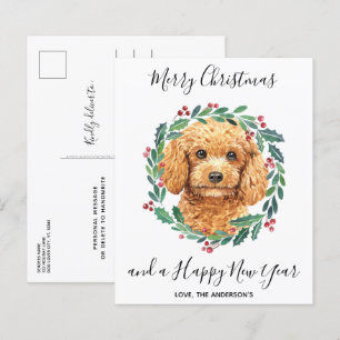 Budget Poodle Dog Elegant-kerstBriefkaart