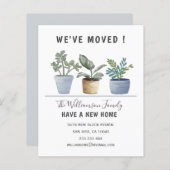 Budget Potted Planten We hebben onze aankondiging (Voorkant / Achterkant)