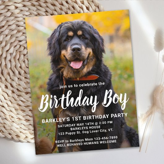 Budget Puppy Dog Birthday Custom Pet Photo Uitnodi