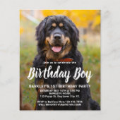 Budget Puppy Dog Birthday Custom Pet Photo Uitnodi (Voorkant)