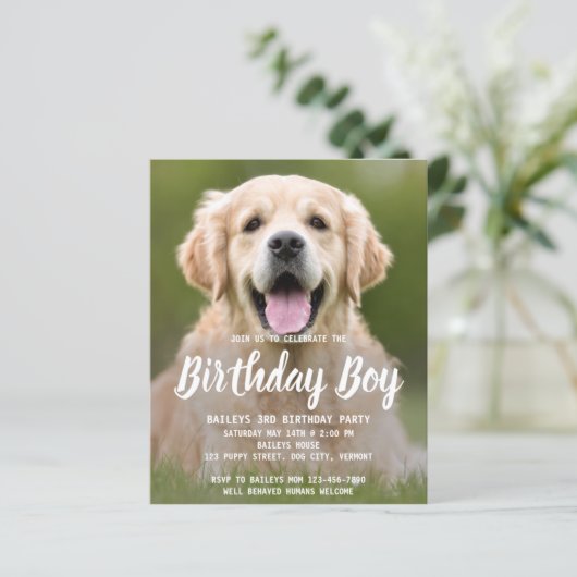 Budget Puppy Dog Birthday Party Pet Photo Invite (Staand voorkant)
