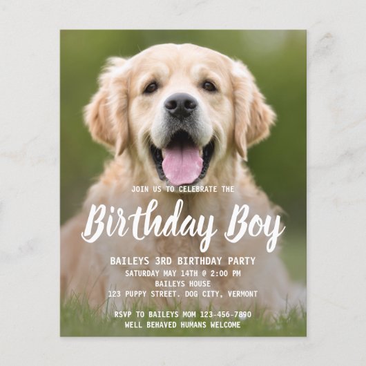 Budget Puppy Dog Birthday Party Pet Photo Invite (Voorkant)