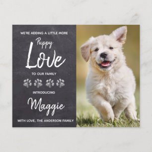 Budget Puppy Liefde Nieuwe Huisdier Hond Aankondig