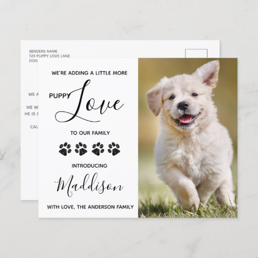 Budget Puppy Love Dog New Pet Announance (Voorkant / Achterkant)