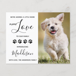 Budget Puppy Love Dog New Pet Announance
