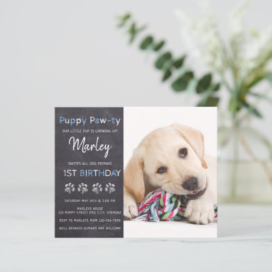 Budget Puppy Pawty Chalkboard Blue Dog Birthday (Staand voorkant)