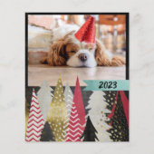 Budget Rood Zwart Foto (Voorkant)