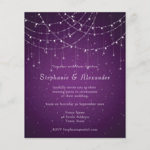 Budget Royal Paars & String Lights Evening Party