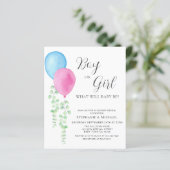 Budget Roze Blauwe Ballonnen Geslacht Onthulling U (Staand voorkant)