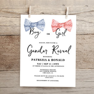 Budget Roze en Blauwe Bogen Gender Reveal Party Ka