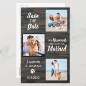 Budget Rustic 3 Photo Dog Wedding Save the Date (Voorkant / Achterkant)