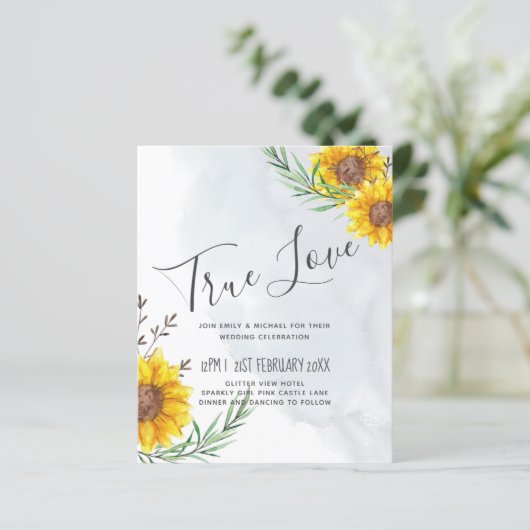 BUDGET Rustige zonnebloemen Olive Leaves Weddensch (Staand voorkant)