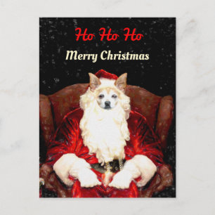 Budget Santa Chihuahua Dog Red Funny Cute Holiday Briefkaart