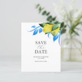 Budget Save the Date Uitnodigingen Botanische Citr (Staand voorkant)