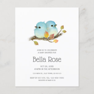 Budget Schattige Blauwe Vogels Jongens Baby Shower
