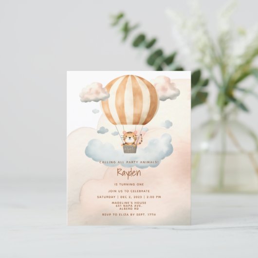 BUDGET Schattigee Tijger Hete Luchtballon 1e Verja (Staand voorkant)