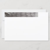 Budget Script Photo Baby Hartelijk dank (Achterkant)