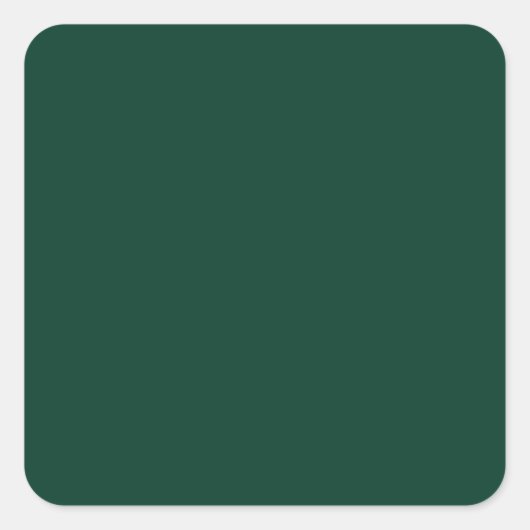 BUDGET Smaragdgroen monochroom tekst Vierkante Sticker (Voorkant)