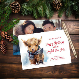 Budget Snowboarden Highland Koe Fotokaart