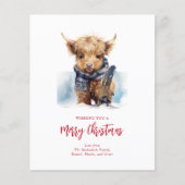 Budget Snowboarden Highland Koe Fotokaart/Vert (Voorkant)