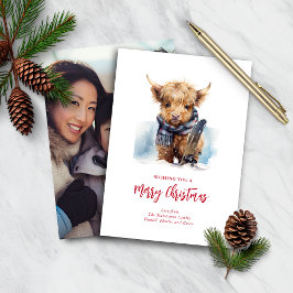 Budget Snowboarden Highland Koe Fotokaart/Vert