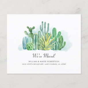 Budget Succulents Cacti We hebben beweging gezet