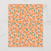 Budget Summer Sinaasappels Waterverf Baby shower (Achterkant)