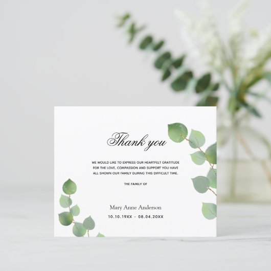 Budget Sympathie eucalyptus groen blad wit (Staand voorkant)