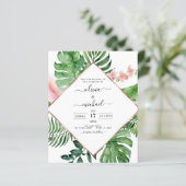 Budget Tropical Palm Beach (Staand voorkant)