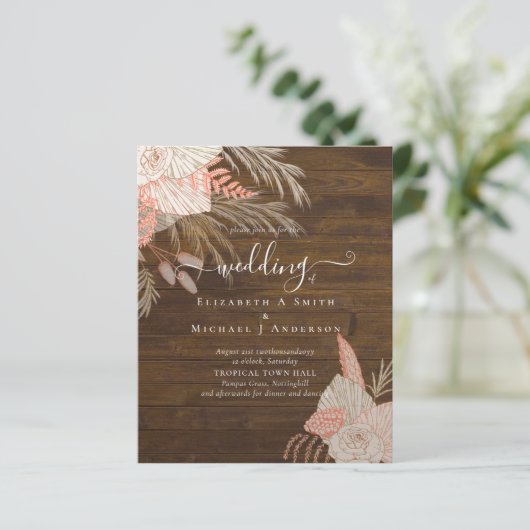 BUDGET Tropische pampas grass Terracotta Weddensch (Staand voorkant)