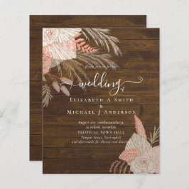 BUDGET Tropische pampas grass Terracotta Weddensch