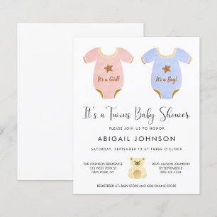 Budget Twin Girl Boy Baby shower